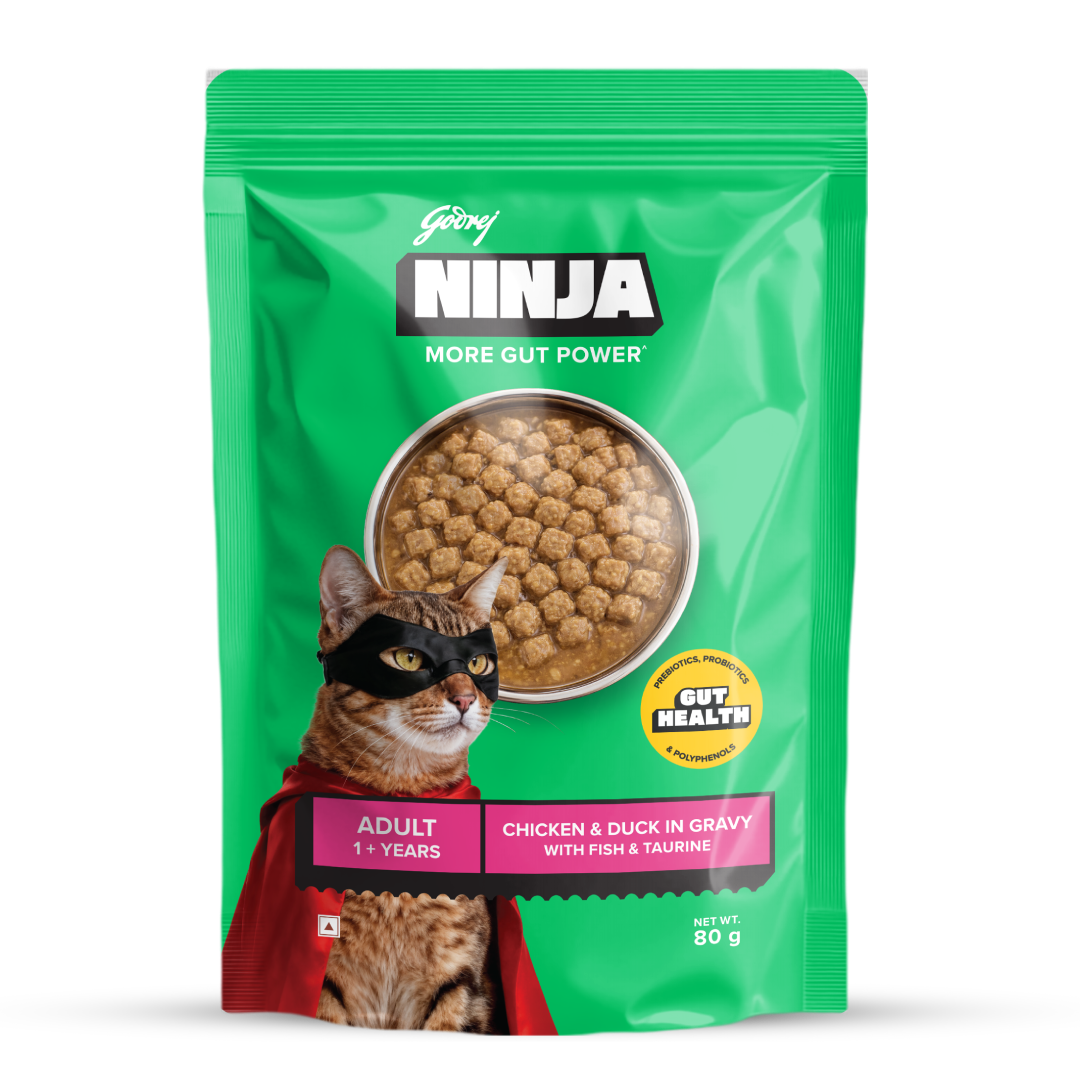 Godrej Ninja Chicken & Duck In Gravy Wet Food for Adult Cat 80 kg Pack