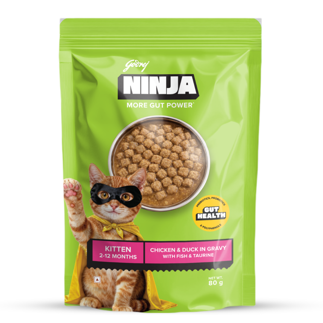 Godrej Ninja Chicken & Duck In Gravy Wet Food for Kitten Cat 80 g Pack