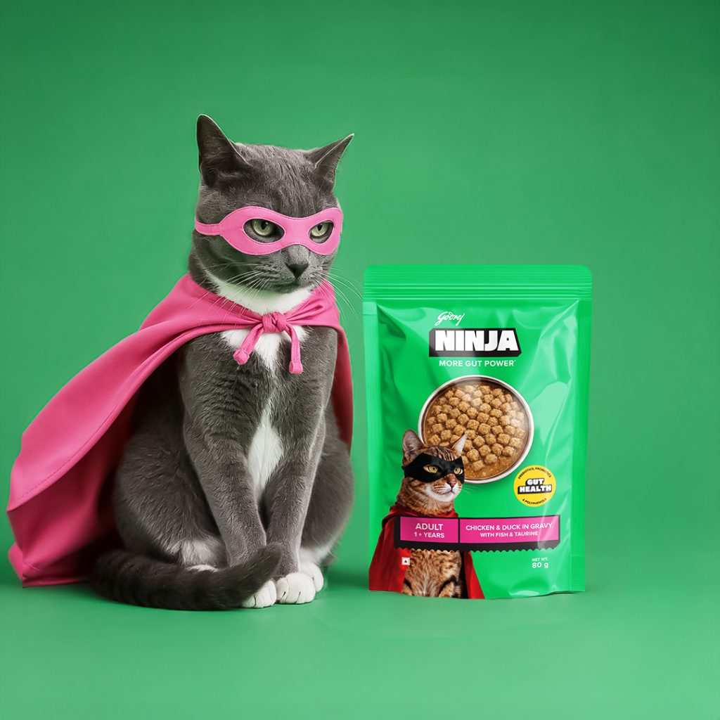 Godrej Ninja Chicken & Duck in Gravy Wet Food for Adult Cat 80 g Pack
