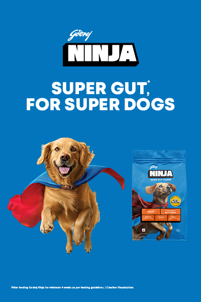 Godrej Ninja Dog Food New MA