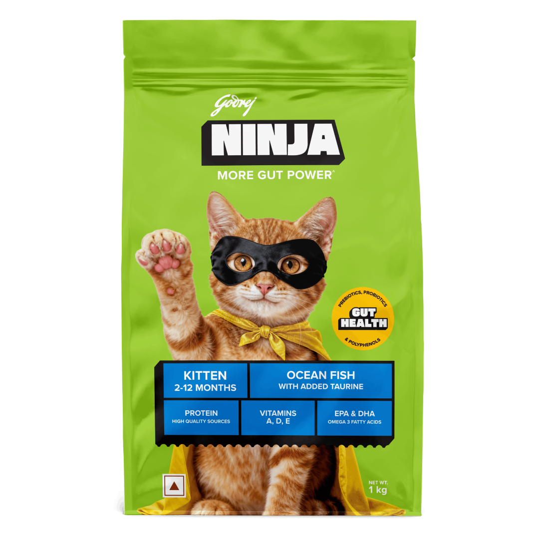 Godrej Ninja Ocean Fish Dry Food for Kitten 1KG Pack