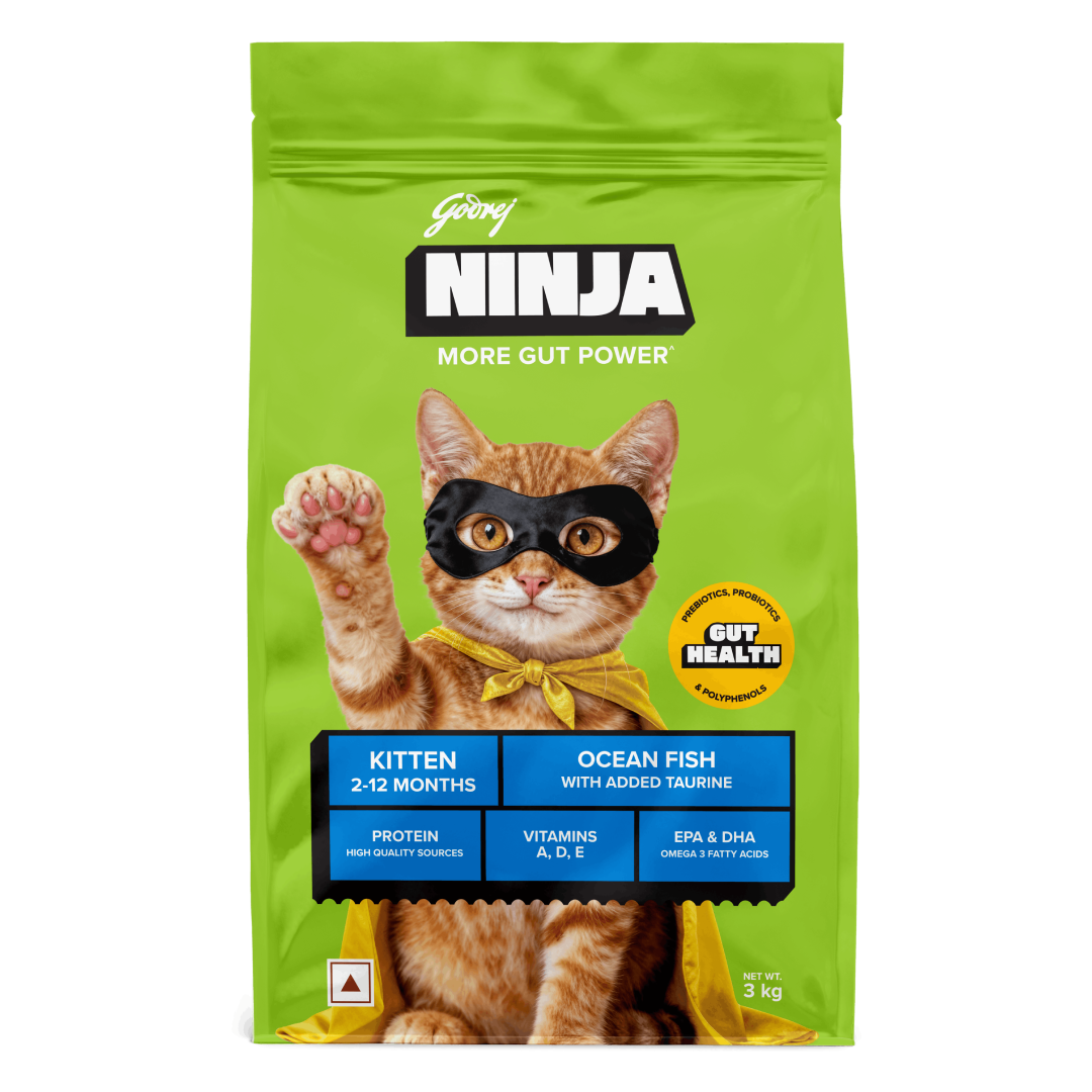 Godrej Ninja Ocean Fish Dry Food for Kitten 3KG Pack