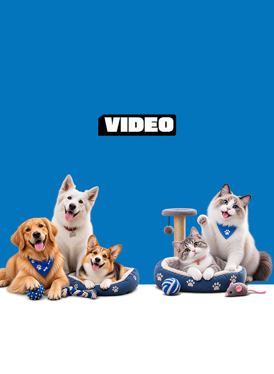 Video Page Banner MA