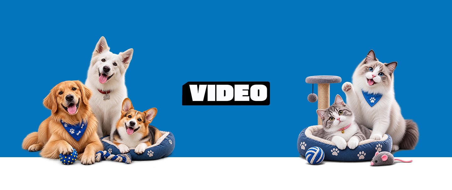 Video Page Banner