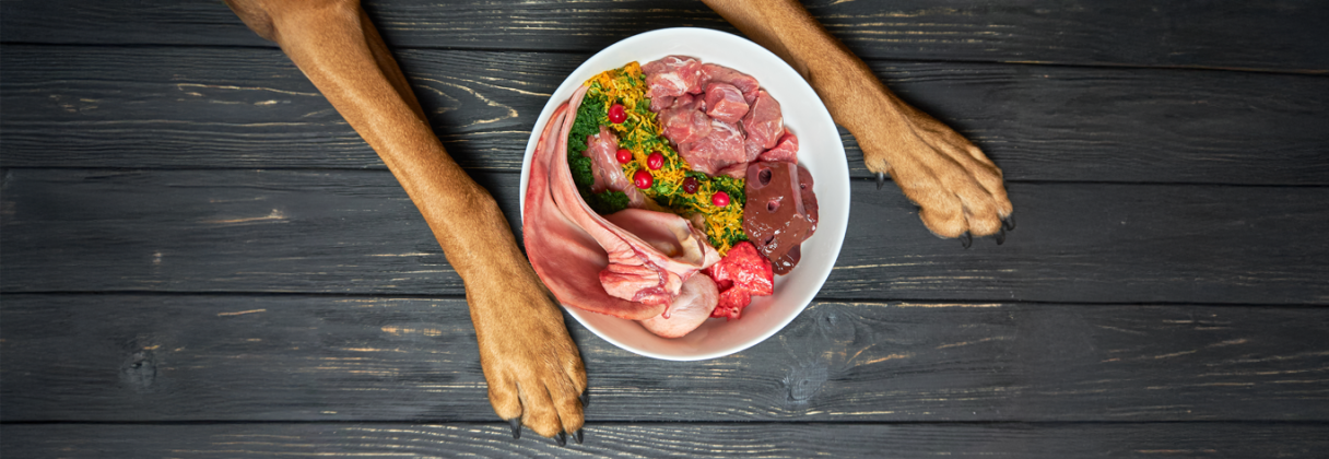 best dog food